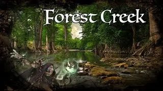 D&D Ambience - Forest Creek