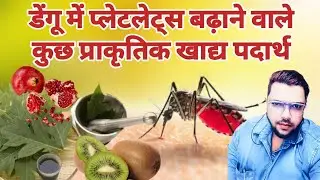 Dengue Mein Platelets Kaise Badhaye | असरदार घरेलू उपाय और Natural Foods
