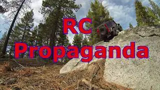 Do you support your local hobby shop? My thoughts!