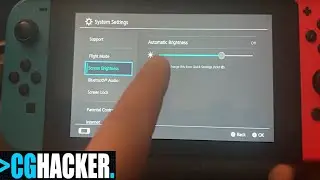 How To Turn Off Auto Brightness on Nintendo Switch!