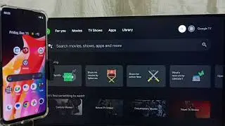 PANASONIC Google TV : How to do Screen Mirroring using Google Home App