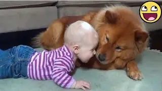 Babies and Pets Being the Funniest Best Friends 😍😂🐕
