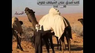 شيله || الغدراء || ادا حاكم الشيباني || الحدباء