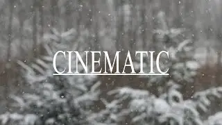 Wonderland Cinematic Winter Music (No Copyright)
