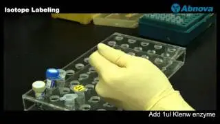 Isotope Labeling