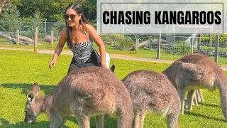 Best Day Trip From Sydney, Australia | Symbio Wildlife Park