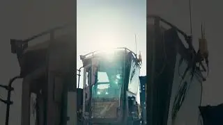 Can You Do Better? #shorts #cinematic #satisfying #cat #construction