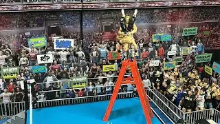 Extreme Wrestling Stop Motion Compilation PT. 2