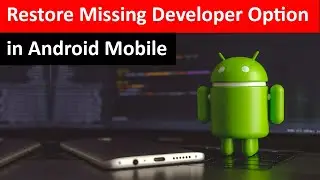 How to Fix Developer Option is Missing Issue Android Mobile?