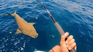 Fishing OFFSHORE for whatever bites