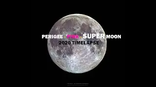 Perigee - Pink - Super Moon 2020 in 4K | Prabhuastrophotography