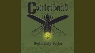 Anytime, Everytime