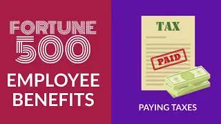 What is a PEO? Payroll, Workers Compensation, Employee Benefits, HR Services for Small Business