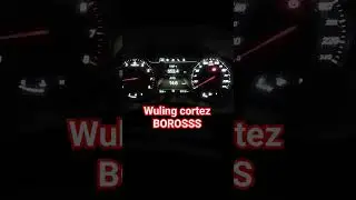 This is the fuel consumption of the Wuling Cortez #wuling #wulingcortez #grabcarbandara #goban