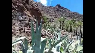 la gomera unser grundstück,update: meerblick