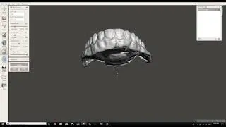 How to combine and make solid with Meshmixer