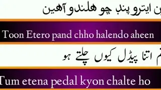 Sindhi To Urdu Hindi Sentences | Learn Sindhi Speaking lesson #21