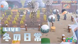 【あつ森】自然な島で過ごす冬の日常とゆるい(？)雑談、クリスマスの飾りつけも回収【アプデまでに家具揃えたい】