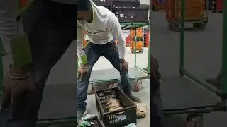 Big basket company