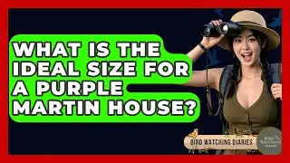 What Is The Ideal Size For A Purple Martin House? - Bird Watching Diaries