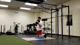Tall kneeling dumbbell hammer curl: Alternating
