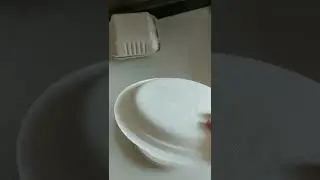 sugarcabe bagasse plate eco-friendly