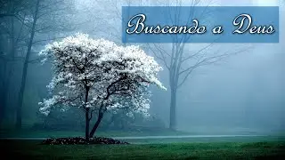 Buscando a Deus