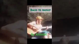 Back to basics - Animist