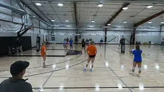 Optic Flow in Volleyball: How Visual Perception Drives Player Performance |  