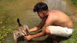 New idea Make Water Duck Trap Using Bamboo - Best Bird Trap That Work 100%