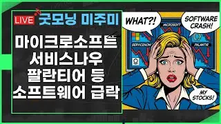 [굿모닝 미주미]  마이크로소프트,  서비스나우, 팔란티어 등  소프트웨어 동반 급락   #미주미 #이항영