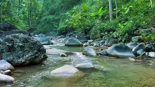 Peaceful Mountain River Flow | Calm Stream Nature Sounds for Sleep, Study & Relaxation