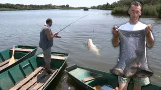 Pecanje šarana i babuške na jezeru Kraljevac - Deliblato | Fishing carp in river