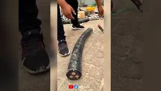 fail of the week!🤣 #shorts #ytshorts #fail #failpoint #funny #funnyshorts #funnyfails