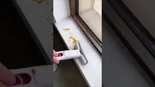 Portable Mini Sponge Mop