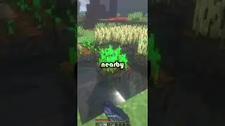🌾🍞Minecraft Wheat Farming🌾🍞