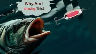 The Art and Science of Fishing: Strike Patterns (underwater strikes with explanations)
