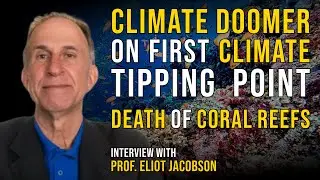 Climate Doomer on First Climate Tipping Point I Collapse of Coral Reefs I Doomsday Climate Reports