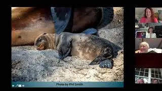 Galapagos Bound with Stephanie Ellis