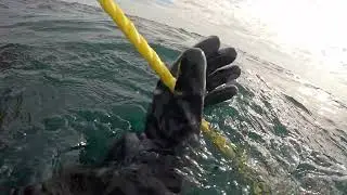 Dive Log - Milwaukee Car Ferry & The Willie