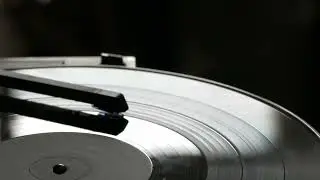 Жирбабас  &mdash; Club EDM Party Banger 🔥🕺