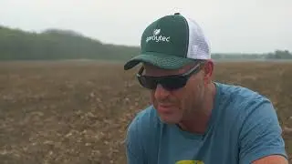 Dan Luepkes Corn Field Check - 51123