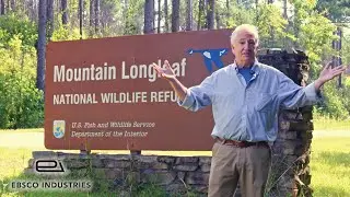 Did You Know This Rare Alabama Forest Is Found Nowhere Else on Earth?