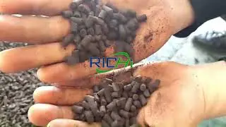 Organic Fertilizer Production Line Test | Uniform Pellet Size