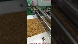 Automatic Peanut Snack Bar Making Machine High Speed Protein Peanut Bar Production Line
