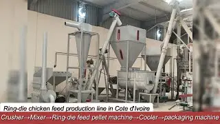 Ring-die chicken feed production line in Cote d'Ivoire #fishfarming #fishfeedmakingmachine