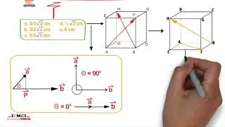 MATEMATIKA KELAS 10   Dimensi Tiga Latihan Soal 6