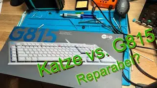 Katze vs. G815 || Kann ich sie reparieren?  Episode 1 || Try to Fix #10