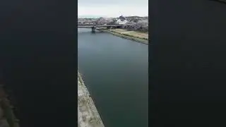 #shorts  Sakura at Kaizogawa, Yokkaichi City   Drone Footage 2023