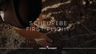 LUKAS SCHMIDT Scheurebe First Flight